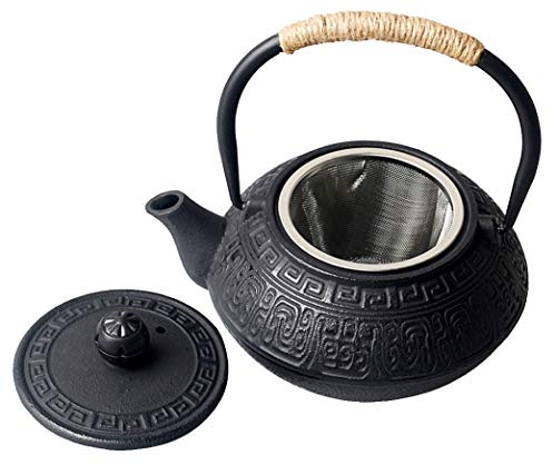 Hwagui-Theiere Japonaise En Fonte Théière Fonte Service Thé 600ml&21oz