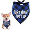 Hundegeburtstags-Bandana, Kariertes bedrucktes Geburtstagskind-Bandana, waschbar, Haustiere, Geburtstag, Partyzubehör, Baumwolle, dreieckig, Hundeschal für kleine, mittelgroße Hunde und Katzen (blau)