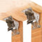 DXIA 2Pcs Marco de Soporte Plegable,Soporte Plegable de Acero,Bisagras Plegables,Bloqueo Automático de 90 Grados, Pies Telescópicos Para Piernas Plegables Banco de Trabajo Plegable Expansión, Plata