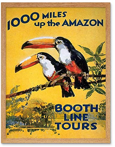 Wee Blue Coo Amazon Toucan River Brazil South America Jungle Rain Forest Vintage Art Print Framed Poster Wall Decor Kunstdruck Poster Wand-Dekor-12X16 Zoll