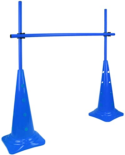 SPORTIKEL24 Kegel 50 Hürdenset mit Stangen 100 cm Farbe Blau