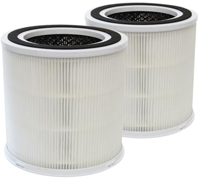 PUREBURG ErsatzFilter kompatibel mit FRESHDEW AP301 AP302 & Dayette AP301 & JOWSET AP301 AP302 AP303 Luftreinigern, 2er-Pack H13
