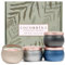 Cocorrína Duftkerzen Set - 4 Stück x 110g (Clear Air/Clean Linen/Ocean Breeze/Black Forest) Natürliches Sojawachs, Aromatherapie Kerzen Geschenke für Männer Frauen