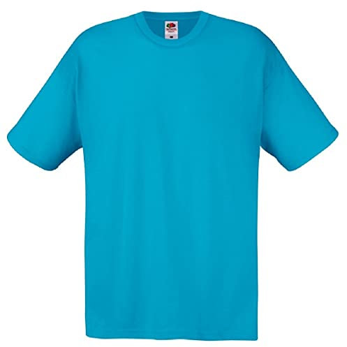 Fruit of the Loom Mens Screen Stars Original Full Cut Short Sleeve T-Shirt (L) (Azure Blue)