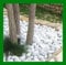 Seat Flor srl® CIOTTOLI DI MARMO BIANCO CARRARA IN (SACCO 25 kg) diametro 40-60, pietra bianca per giardino