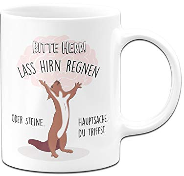 Tassenbrennerei Eichhörnchen Tasse mit Spruch Bitte Herr! Lass Hirn Regnen oder Steine - Kaffeetasse lustig - Dumme Menschen - Spülmaschinenfest (Weiß)
