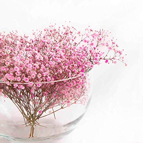 FranquiHogar - Florero Esfera de Cristal Multifuncional - 29 cm Diámetro, 19 cm Altura, 7 mm Grosor - Artesanal, Versátil para Hidroponía, Pecera, Frutero, Cubitera, Transparente, Vidrio