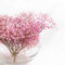FranquiHogar - Florero Esfera de Cristal Multifuncional - 29 cm Diámetro, 19 cm Altura, 7 mm Grosor - Artesanal, Versátil para Hidroponía, Pecera, Frutero, Cubitera, Transparente, Vidrio