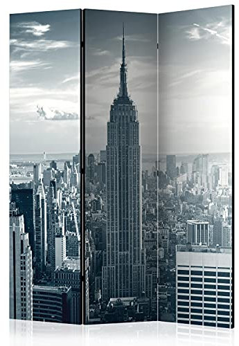 murando - Paravent Raumteiler Innen New York 135x172 cm 3-teilig Einseitig Raumtrenner Trennwand Holz Room Divider Mobiler Sichtschutz Spanische Wand Amerika Stadt Sonne USA Panorama d-C-0135-z-b