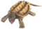 Genérico - Figura de tortuga Mordedora, modelo de animales, figura educativa de animales para niños, juguete de decoración para fiestas