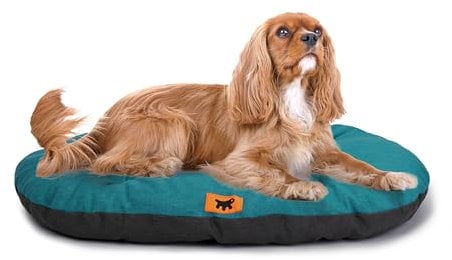 Ferplast Hundebett Relax, Hundekissen, Katzenkissen, Hundematte für Hundehütten und Autos – waschbar – aus Baumwolle mit weicher Polsterung, 65 x 42 cm. Ottanio