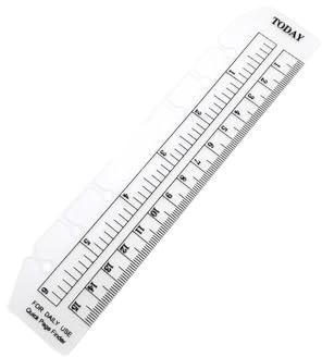 Flexibles Lineal, transparenter Kunststoff, Notizbuch, Ordner, Lineal, bruchsicher, biegbar, PVC-Seitenteiler, weiches 6-Loch-Lineal mit Skala für A6-Ringbinder, Tagebuch, Organizer (15 cm)