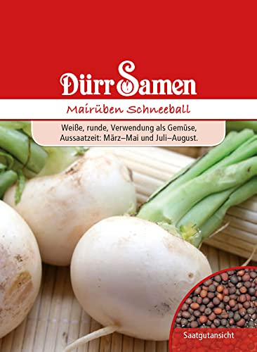 Mairübe Samen Schneeball Mairübensamen Rübensamen Weiße Rüben ca 300 Korn Saatgut Gemüse Garten Hochbeet Kübel Dürr Samen