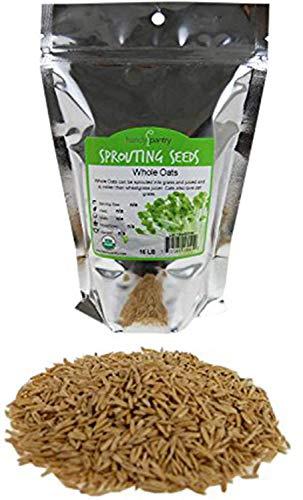 Organic Non-GMO Whole Oat Grain Seeds (With Husk Intact)- 1 Lb Re-Sealable Pouch- Oats Seed Grains, for Sprouting, Oat Grass, Animal Feed, Storage & More