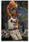 Penny Hardaway Poster Basketball Leinwand Wanddekor Kunst Gemälde Druck für Büro Wohnzimmer Schlafsäle Häuser – Geschenke für Freund Mann 50 x 75 cm