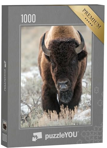 puzzleYOU: Puzzle 1000 Teile „Bison, Büffel“ – aus der Puzzle-Kollektion Bisons