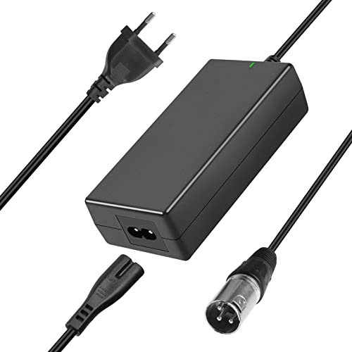 ARyee 29,4V 2A Netzteil Ladegerät Ladekabel für 24V Akkus mit 3pin XLR Stecker für Elektrofahrrad Elektroroller Akkus Prophete Aldi Netto, Ersatz für HP1202L2