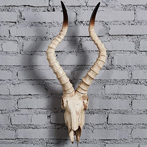 Pleayietoopiatiey Resin Long Horned RAM Decor Skull Wall Mount Skull Decor for Home Office C 56.5x21.5x13 cm, Type C