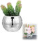 Wmzjnljy 1pc 10cm/4in Disco Ball Planter Disco Ball Vase Glitter Plant Pot Modern Glass Silver Mirror Ball Planter for Table, Party, Bar(U75-1)