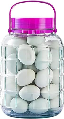 Bocal à cornichons en verre épais scellé - Bouteille en verre à bulles - Pot à cornichons - Blanc - 5 l