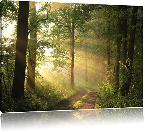 Waldweg im Winter Bild auf Leinwand, XXL riesige Bilder fertig gerahmt mit Keilrahmen, Kunstdruck auf Wandbild mit Rahmen, guenstiger als Gemaelde oder Bild, kein Poster oder Plakat, Format:120x80 cm
