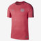 Nike FC Barcelona Dry Squad, T-Shirt Uomo, Rosa Tropicale, Maroon, Argento Riflettente, XL