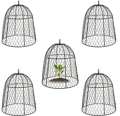 YLSAZL Garten-Hühner-Drahtglocke, Pflanzenschutz und Abdeckung, schützt Pflanzen und Blumen vor dem Fressen von Eichhörnchen, Kaninchen, Hühnern und Anderen Kleintieren (5 Stück, schwarz)