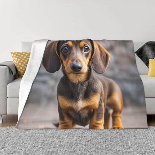 Überwurfdecke, weiche, leichte Flanell-Decken, Dackel-Überwurf, Heimdekoration, flauschige Überwurfdecken für Sofa, Bett, Decken für Couch, alle Jahreszeiten, 101,6 x 76,2 cm
