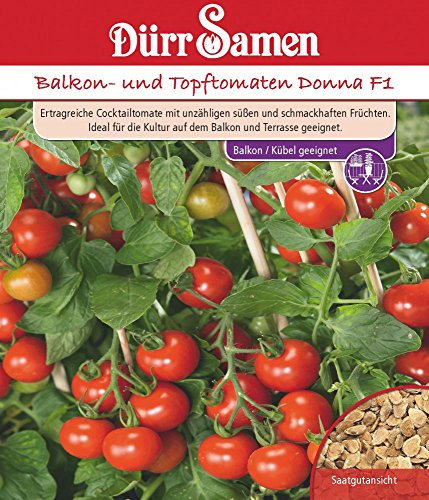 Cocktailtomate Samen Cocktailtomatensamen Balkontomaten Topftomaten Tomatensamen Früreifend ca 8 Korn Ertragreich Saatgut Garten Hochbeet Kübel Dürr Samen