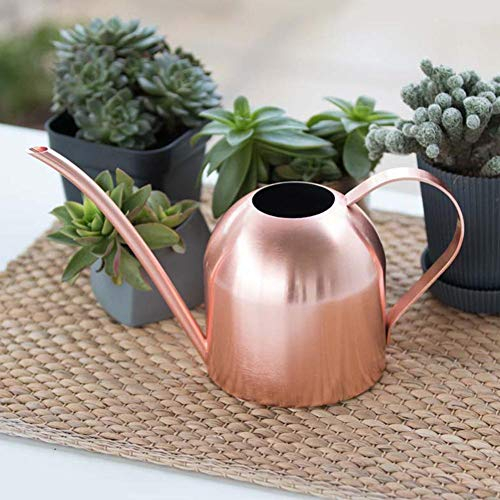 youngfate Gießkanne Edelstahl Gold Silber Roségold Zimmerpflanzen Bonsai 1500ML Watering Can Für Heimbüro-Gartenpflanzen