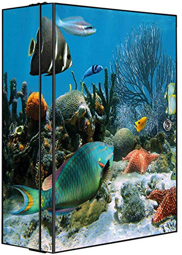 banjado Medizinschrank abschliessbar mit Motiv Korallenriff 1 35x46x15cm - großer Arzneischrank für die Hausapotheke - Medikamentenschrank aus Metall zur Medikamenten Aufbewahrung