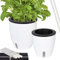 ONVAYA® Kräutertopf selbstwässernd | Wasserstand ablesbar | 2er Set Ø 13+18 cm | Hochwertige Farbe