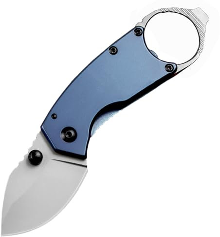 LIUS GROUP Petit couteau de poche pliant tranchant en métal - Bleu - Couteau EDC - Couteau multi-usage - Couteau d'extérieur - Couteau de survie - Couteau de chasse - Mini couteau multifonction avec