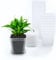 KAHEIGN 24 Pièces Pots de Plantes Carrés Clairs, 7cm Épaissir Pots de Fleurs en Plastique Jardinière Succulente Pots de Pépinière avec Palette/Plateaux pour Petites Plantes en Pot