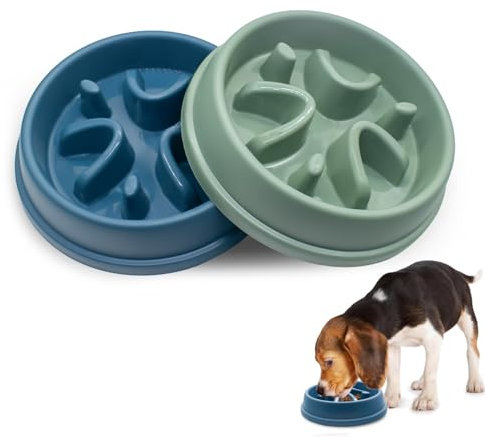 GTNCE 2PCS Dog Slow Feeder Bowl, 20.7x4.6cm Slow Feeder Dog Bowl Large, Anti Gulp Cat Dog Bowls to Slow Down Eating, Slow Feeding Dog Bowl with Non-Slip Rubber Feet, for Small and Medium-Sized Pets