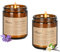 Obisesio Duftkerzen für Zuhause, 2 Pack Duftkerzen zum Stressabbau und Selbstpflege, Aromatherapie-Kerzen für Männer und Frauen zum Geburtstag, Soja-Kerzen für Schlaf (Lavender and Vanilla)