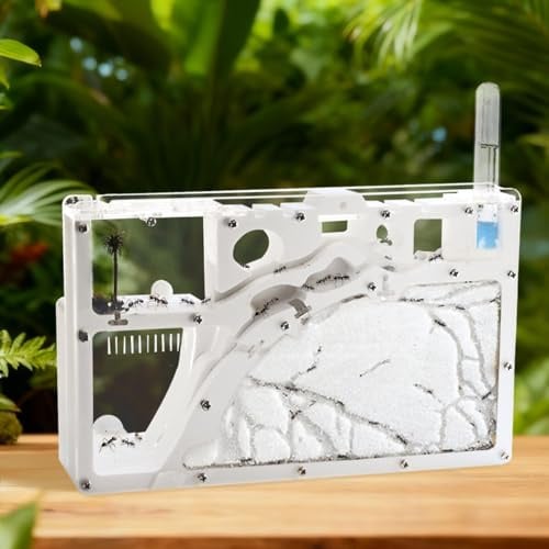 Ant Farm Kit for Kids, Large Ant Farm with Sand, Ant Colony Observation Kit