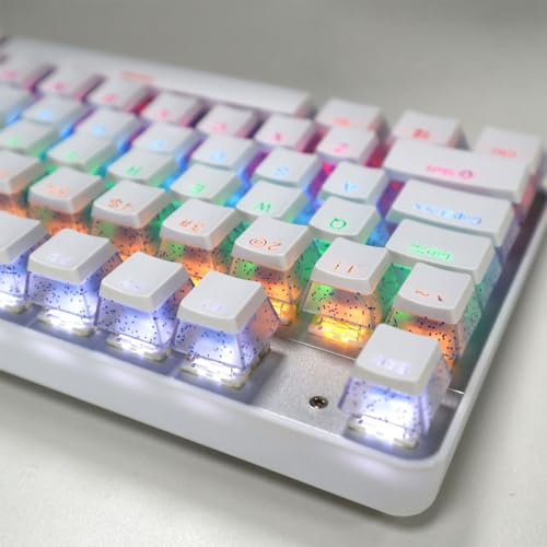 Catekro PBT-Tastenkappen, 104 Stück, für mechanische Gaming-Tastatur, glänzen durch Pudding-Tastenkappen, Doppelschuss, OEM-Profil (Weiß)