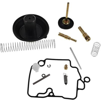 Vergaser Reparatursatz Gross 50cc kompatibel für ZNEN ZN50QT-A, BEELINE VELOCE 50, KYMCO Agility 50 4-Takt KG10SA, REX RS450 Typ: QM50QT-6(A) (Qingqi)