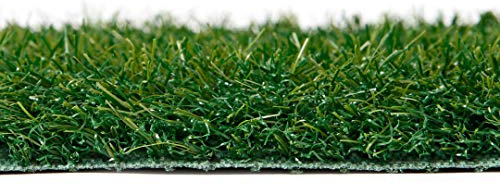 Catral Césped Artificial 10 mm Standard New Deco 2x5 m
