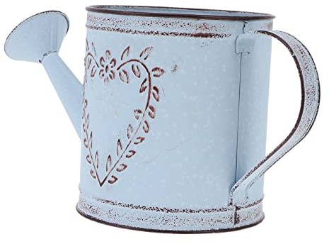 Maceta de hervidor antiguo, mini regadera para plantas en maceta, plantas de cactus, vintage, antiguo, elegante, jarrón de metal de hierro, jarrón de hierro, regadera para plantas