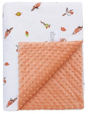 LAT Babydecke Kinderdecke mit Minky - Kuscheldecke Baby Krabbeldecke Kinderwagen Decke Unisex Baby Decke für Neugeborene Kinder, Babydecke Winter(Birds, 100 x 75cm)