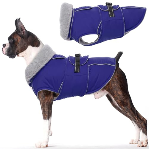 Lelepet Winter Hundemantel, Wasserdichter Wintermantel für Kleine Hunde, Warme Hundejacke mit Fleecekragen, Hund Winterjacke Outdoor Schneeanzug (Blau, S)