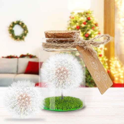 RANJIMA Wunscherfüller Pusteblume im Glas, Echte Pusteblume im Glas,Geburtstagsgeschenk für Frauen,Glücksbringer und Kleinigkeit,Dankeschön Geschenke Klein,Geschenk für Geburtstag,Hochzeit,Weihnachten