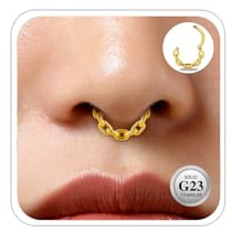 ESHIONER G23 Titan Conch Piercing Schmuck Helix Gold Silber Hoop Septum Rook Tragus Daith Piercing Hinged Segment Clicker 16G 8MM 10MM 12MM Nasenring Double Creolen Helix Knorpel Ohrringe für Damen