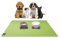 SanoZoo® Napfunterlage - Öko-TEX - Made in Germany - rutschfeste Futtermatte für Hunde & Katzen 60x90cm Grün, wasserfest