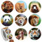 Abeillo 500 Stück Tier Aufkleber Sticker für Kinder, 2,5 cm Zoo Tier Sticker Rolle (Panda, Elefant, Giraffe, Löwe...) Anreiz Geschenke Lehrer belohnung, Rund Selbstklebende Etiketten mit 8 Tiere
