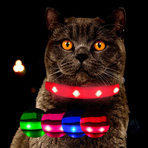Leuchthalsband für Katzen [Das Original] Leuchtendes LED Katzenhalsband zum spazieren gehen auch im Dunkeln - sehr Lange Akkulaufzeit – Sicher Dank starker Leuchtkraft - Katzenhalsband (L, Rot)