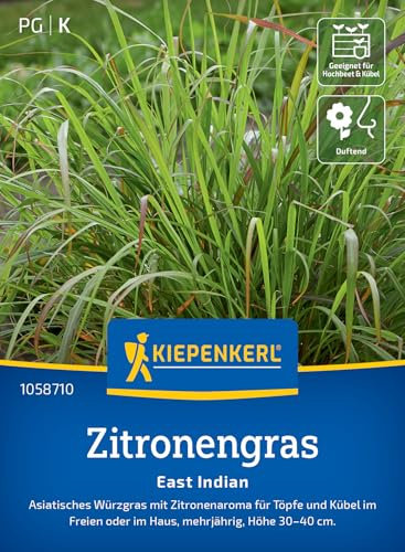 Kiepenkerl Zitronengrassamen East Indian 1058710 – Würzgras - Mehrjährig - Wuchshöhe 30-40 cm - Inhalt für 50 Pflanzen - Pflanzensamen, Saatgut