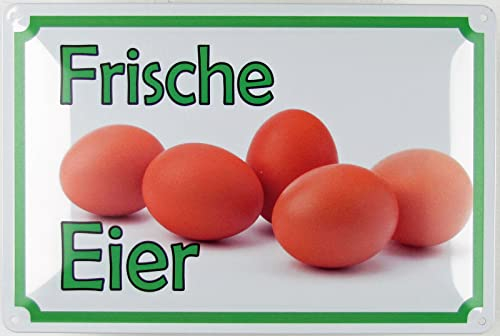 Blechschild 20x30cm gewölbt Frische Eier Deko Geschenk Schild